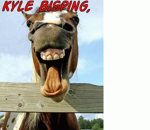 funny horse. horse funny comic semen