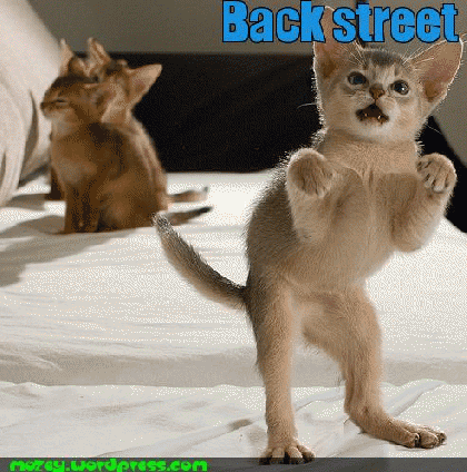 back street boys cute cate dancing