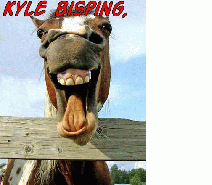 horse funny comic semen halarious lvoe story lolcat